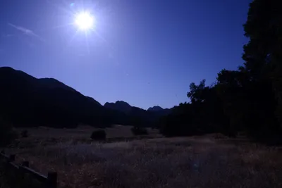 DSC_2079 (Large).JPG